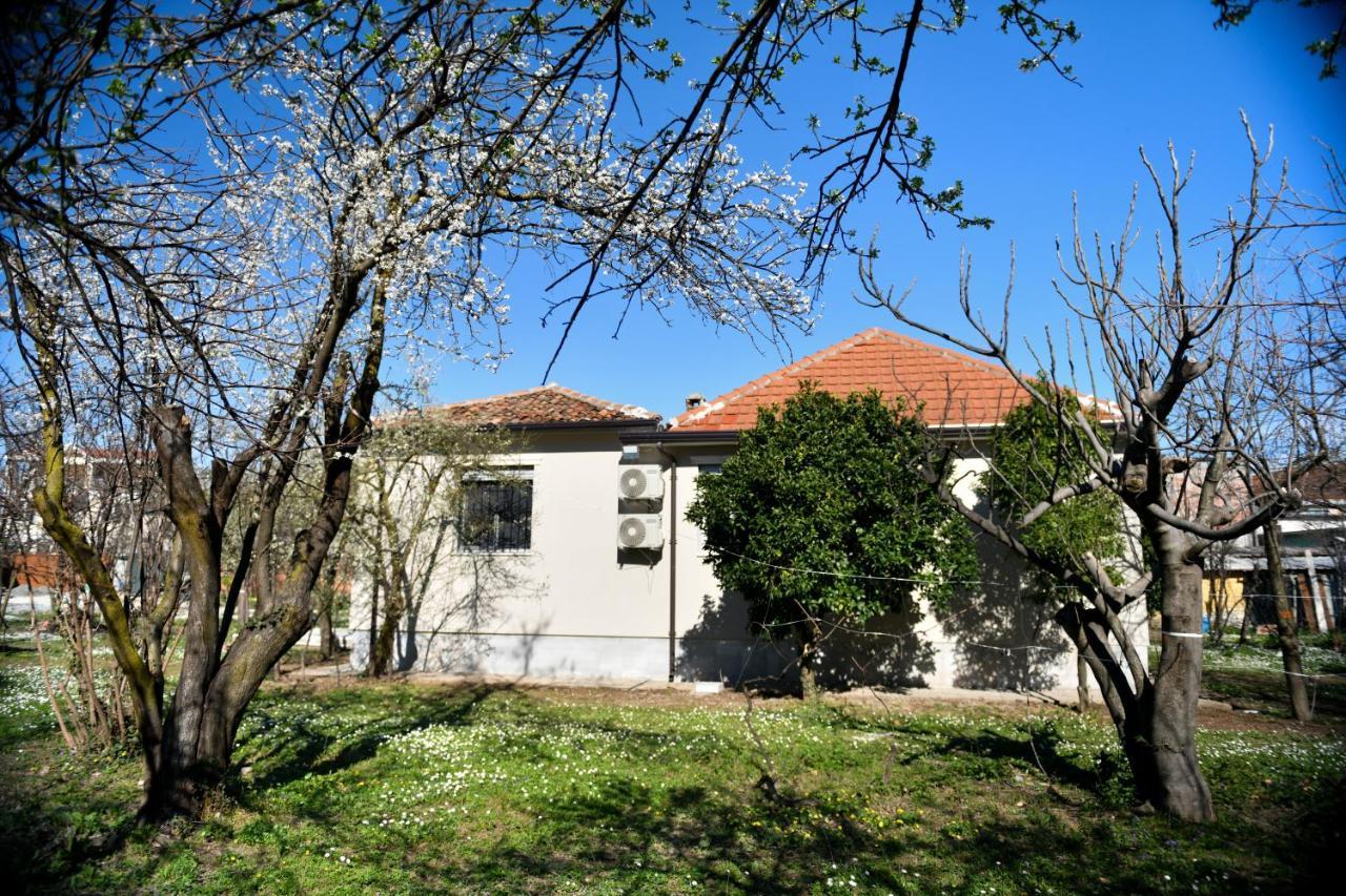 Nicolaus Hidden Gem Villa Shkodra Kültér fotó