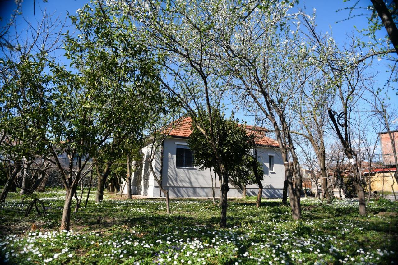 Nicolaus Hidden Gem Villa Shkodra Kültér fotó