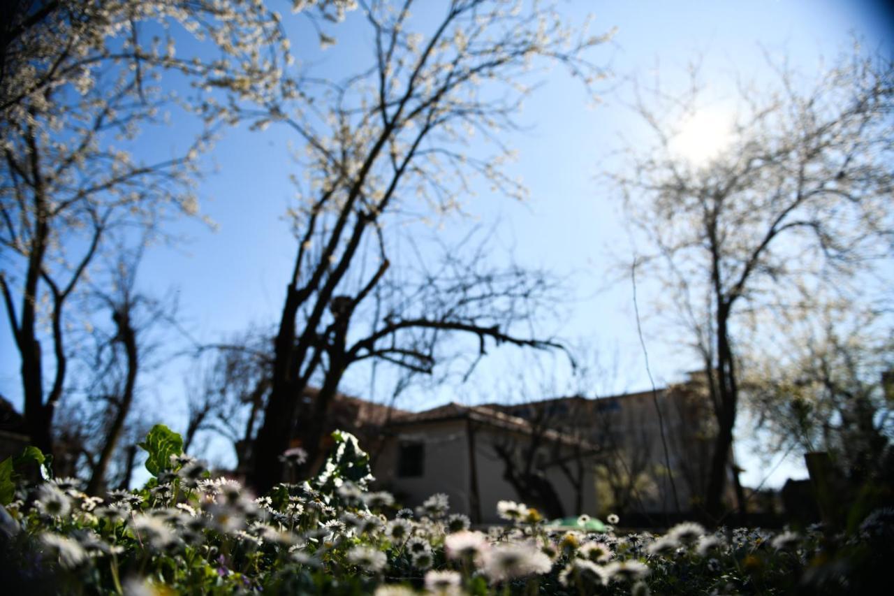 Nicolaus Hidden Gem Villa Shkodra Kültér fotó