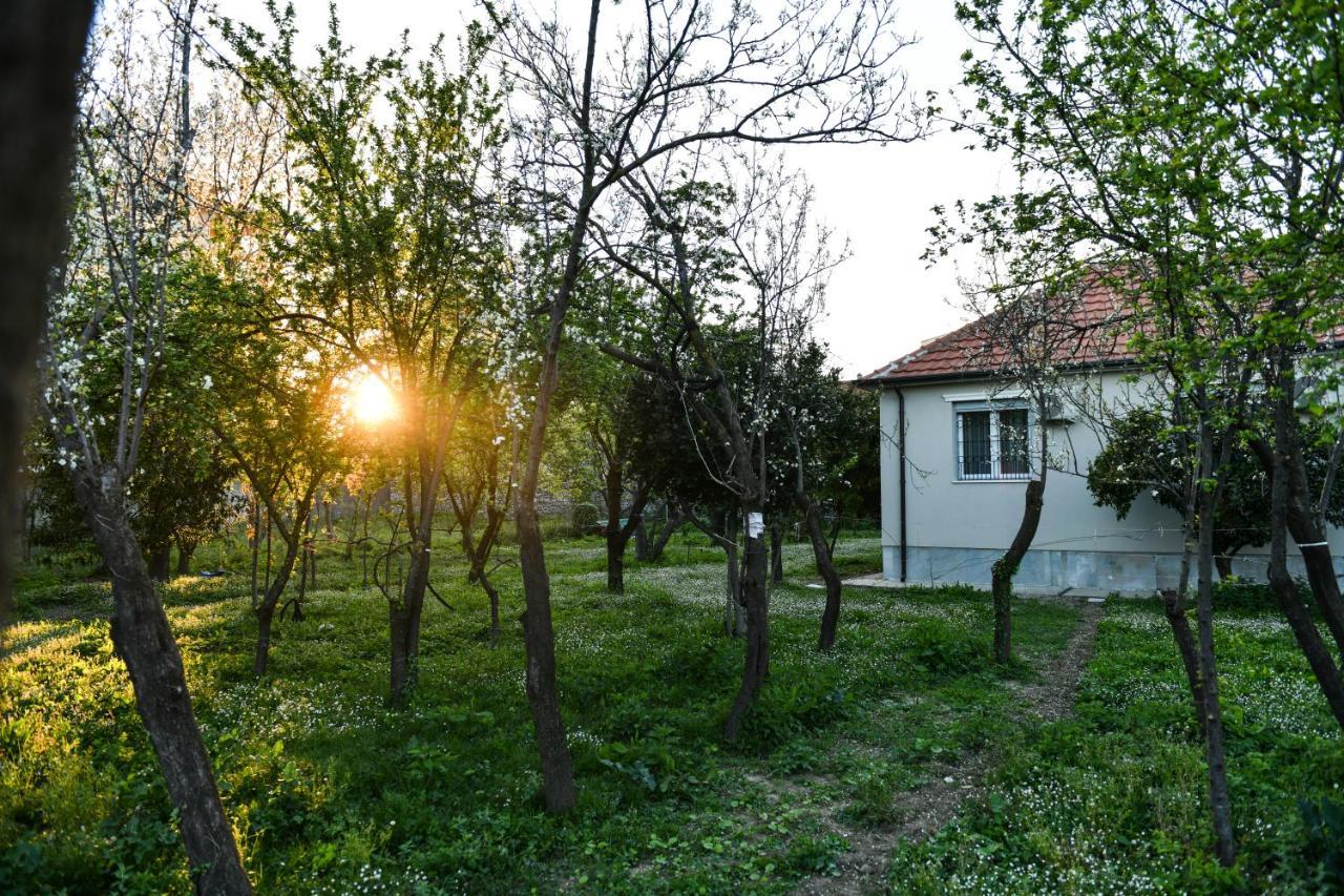 Nicolaus Hidden Gem Villa Shkodra Kültér fotó