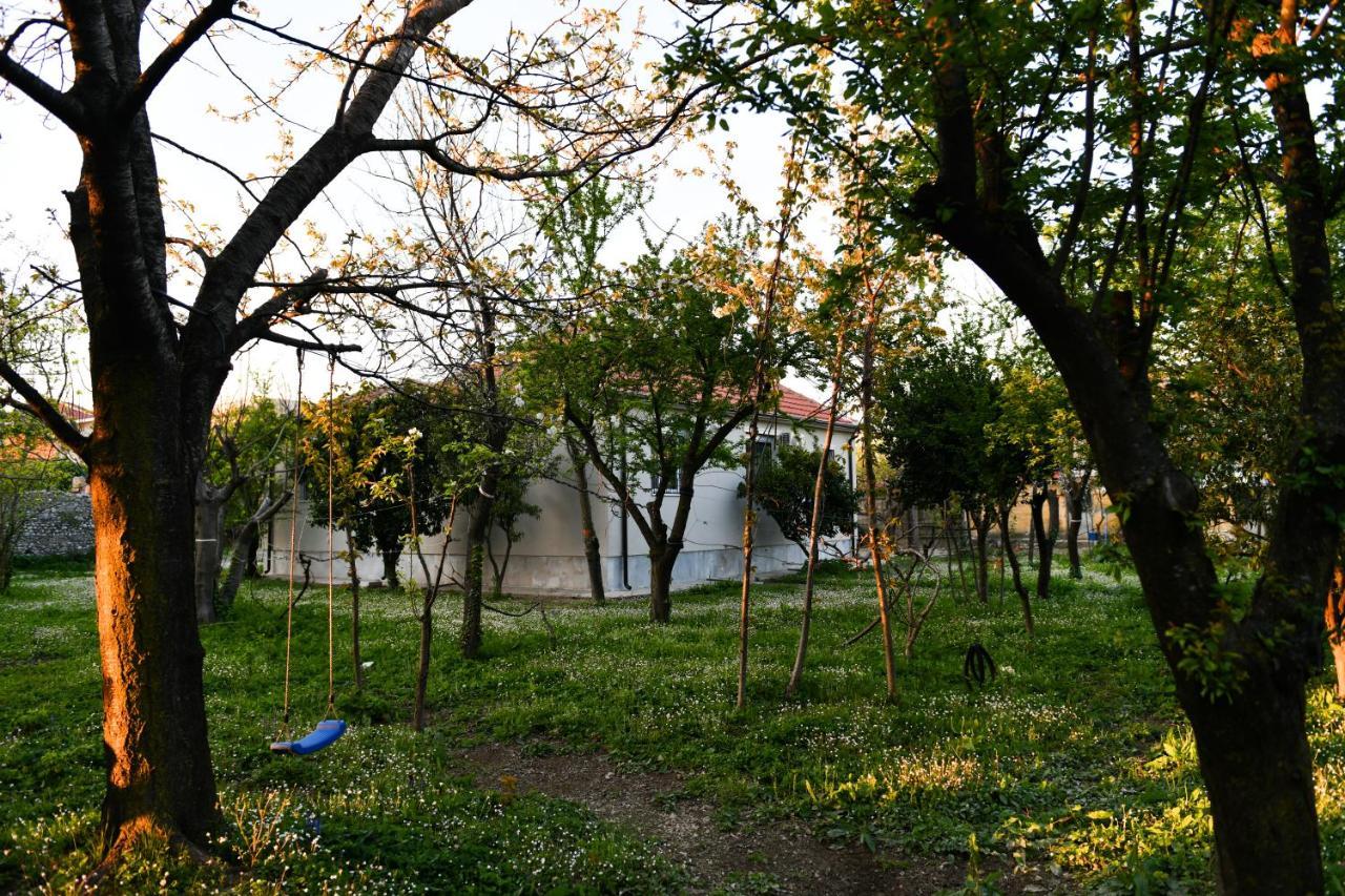 Nicolaus Hidden Gem Villa Shkodra Kültér fotó