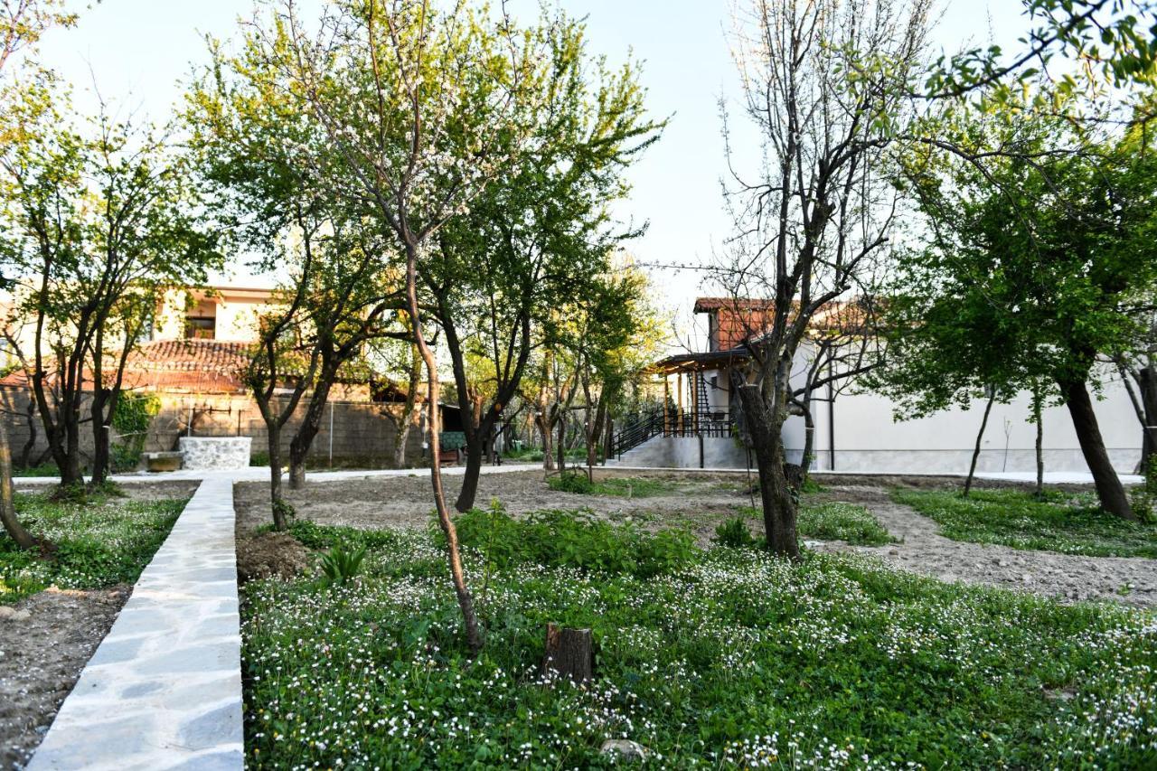 Nicolaus Hidden Gem Villa Shkodra Kültér fotó