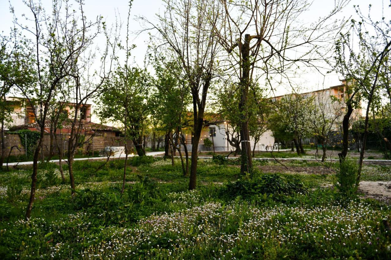 Nicolaus Hidden Gem Villa Shkodra Kültér fotó