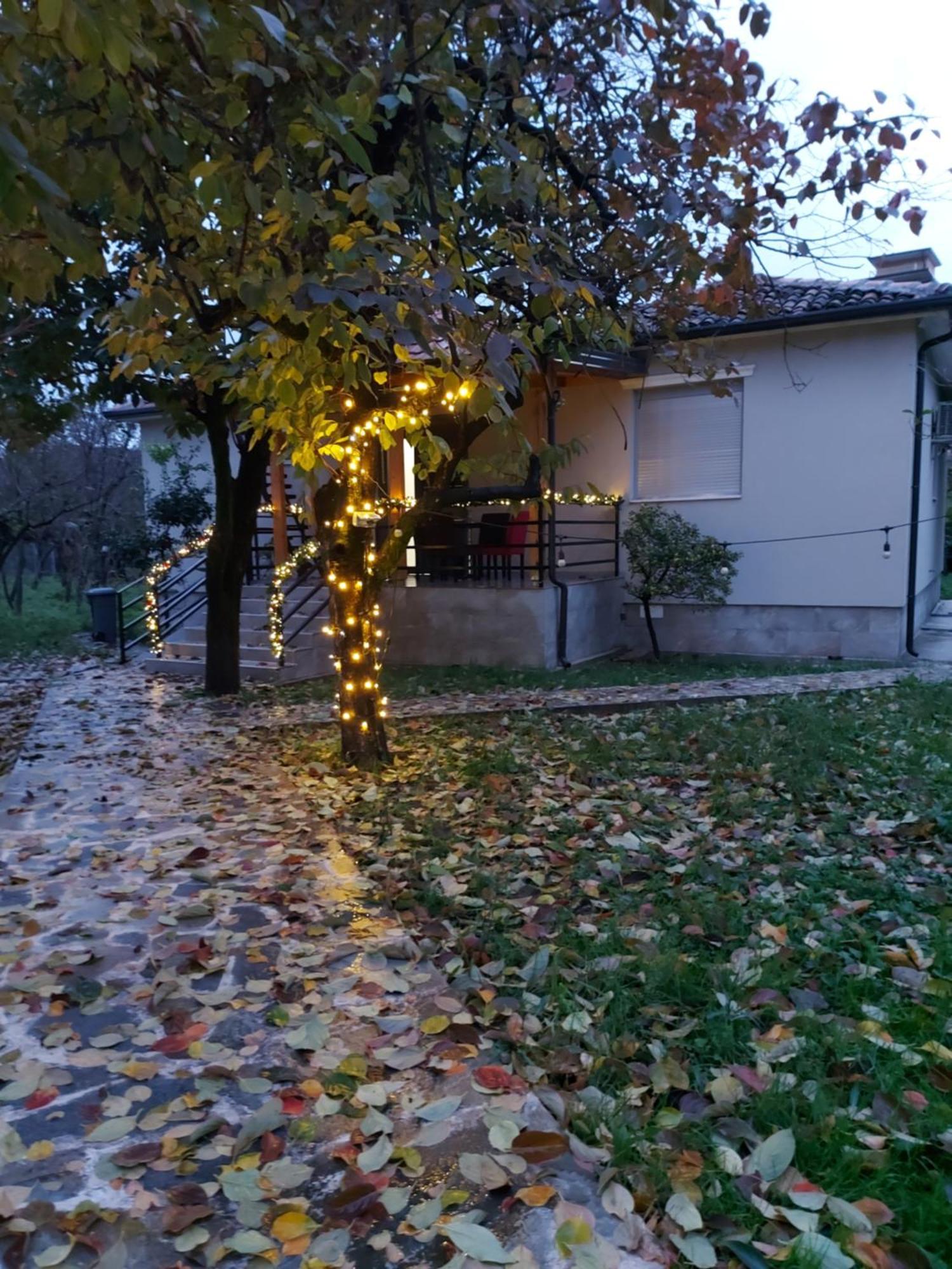 Nicolaus Hidden Gem Villa Shkodra Kültér fotó
