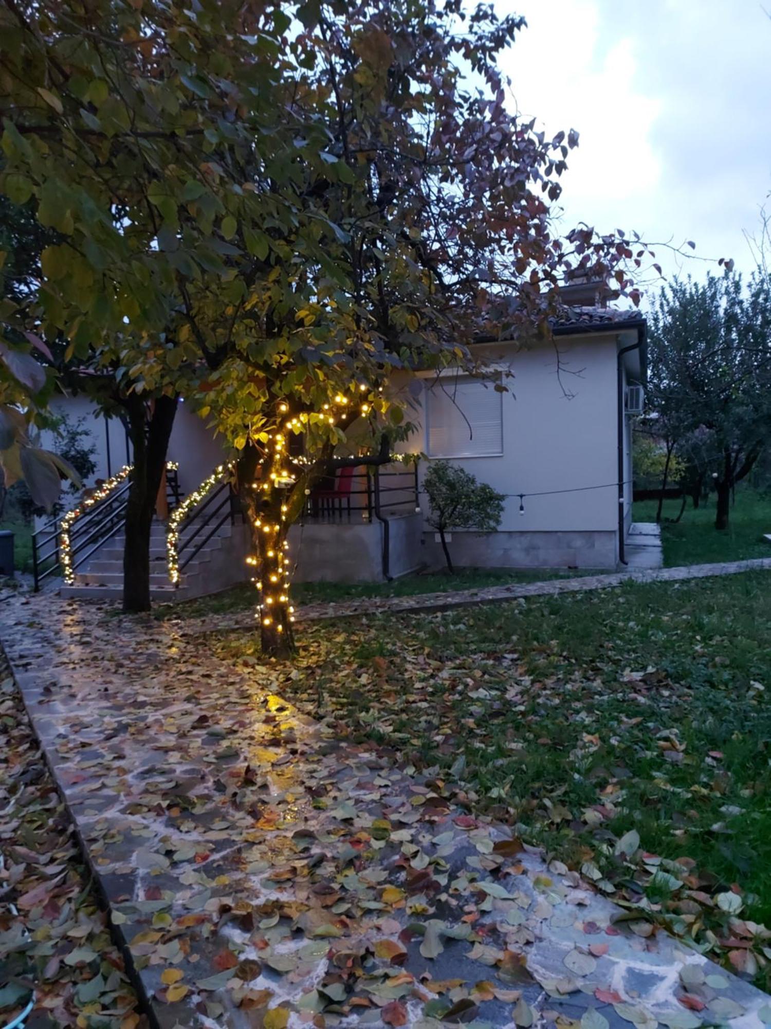Nicolaus Hidden Gem Villa Shkodra Kültér fotó