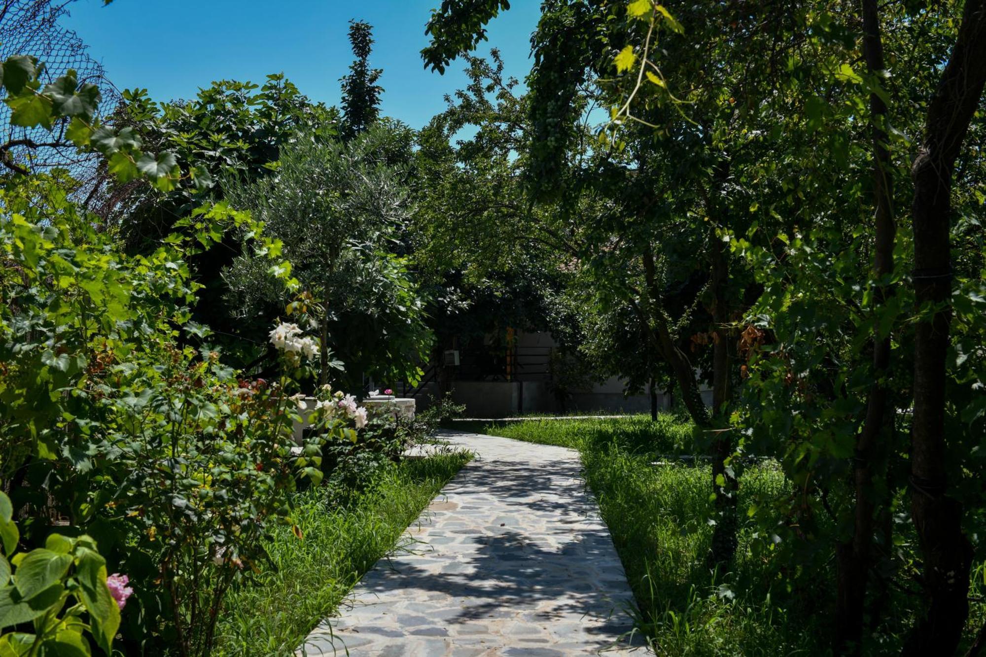 Nicolaus Hidden Gem Villa Shkodra Kültér fotó