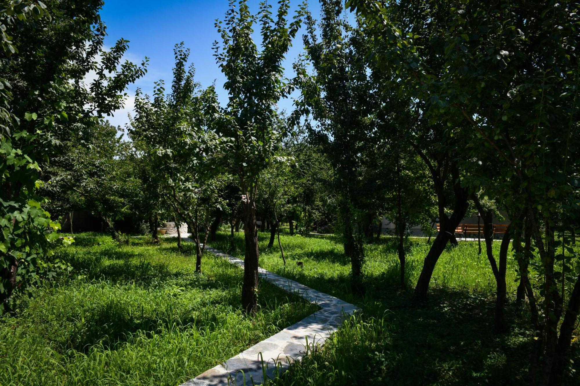 Nicolaus Hidden Gem Villa Shkodra Kültér fotó