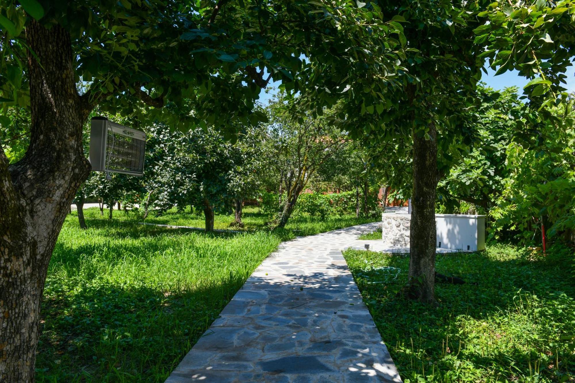 Nicolaus Hidden Gem Villa Shkodra Kültér fotó